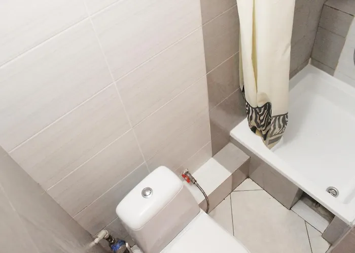 Apartment в центрі подобово на вулиці коперника 26 біля палацу мистецтв